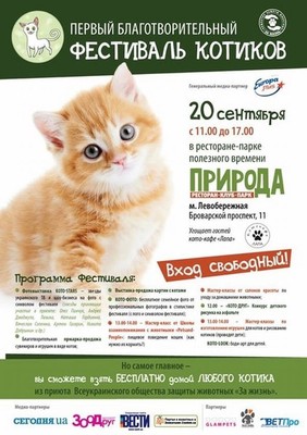 20 вересня в Києві – благодійний Фестиваль котиків