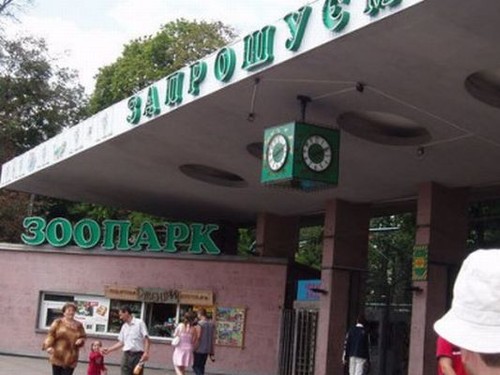 Київський зоопарк проведе благодійну акцію у дитячій лікарні